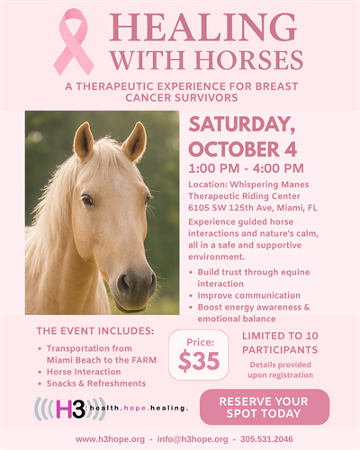 Experience the Healing Power of Horses